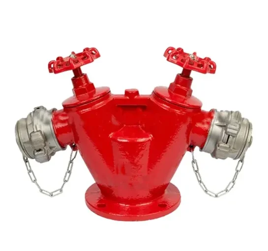 Vietnam-style fire hydrant standpipe double valve double outlet indoor fire hydrant outlet custom 65-16K-65