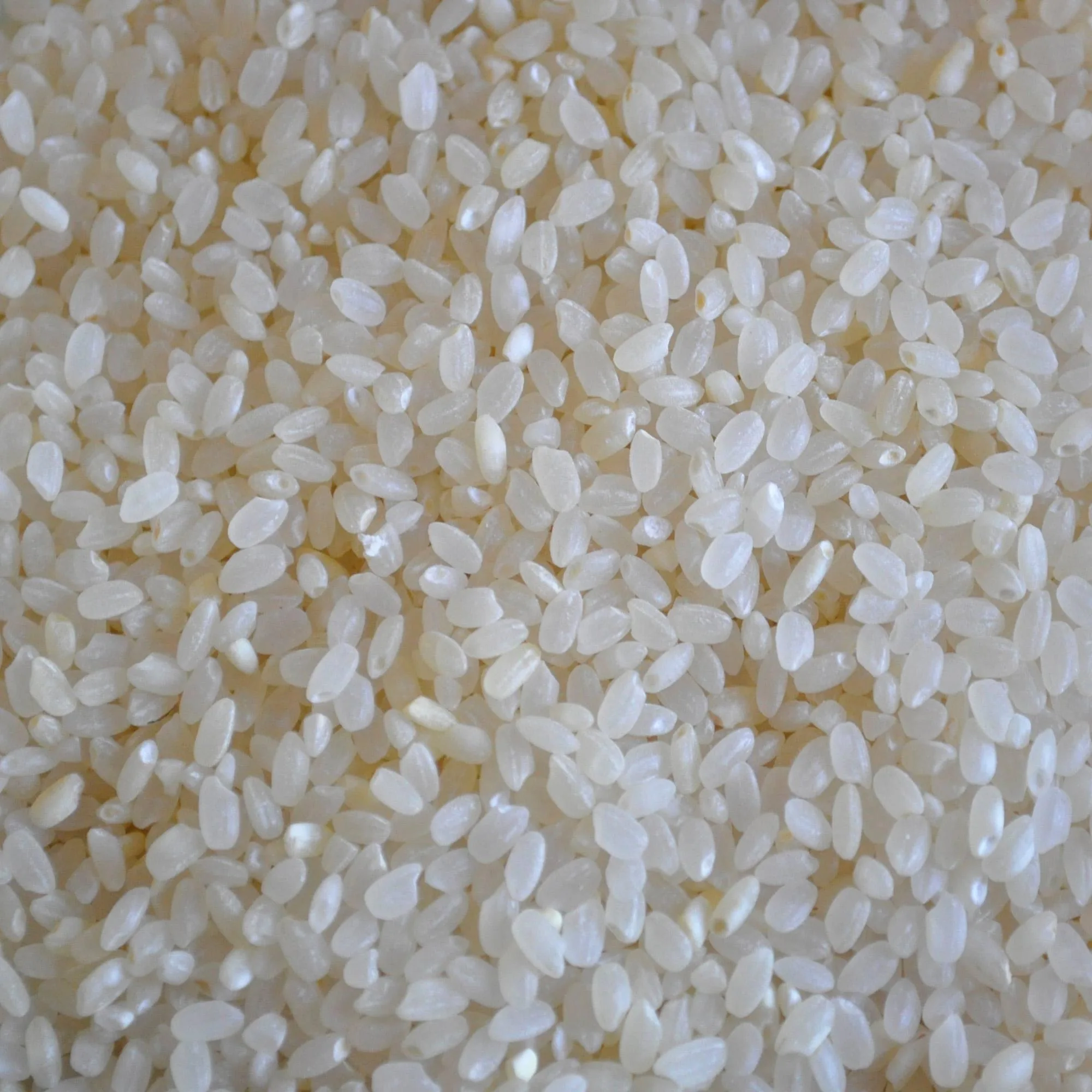 Japonica Rice ODM OEM Service Fresh Rice Nutrition Good Price For Export Custom Logo Package Crop Year 2021 Hot Selling