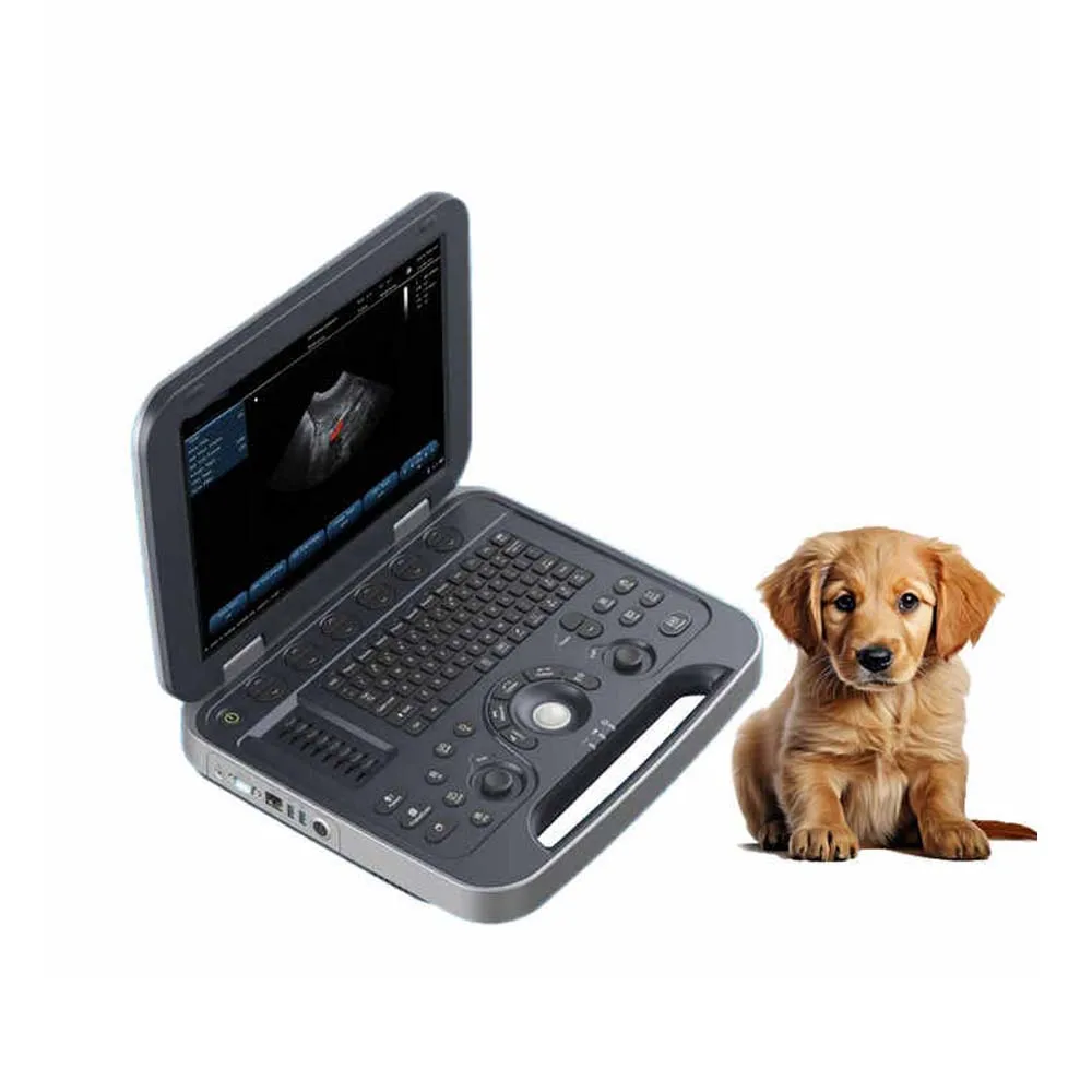 Medical ultrasonic instruments for hospital ultrasound Doppler and gynecological 3D color pregnancy ultrasonic machine