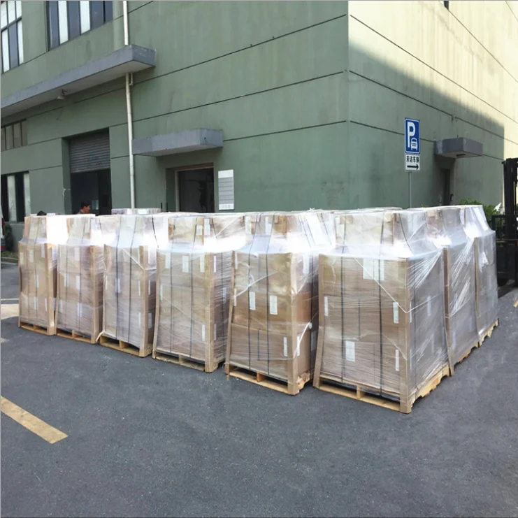 Factory Supply  Hydrolyzed Collagen Type II Collagen Type 2 powder