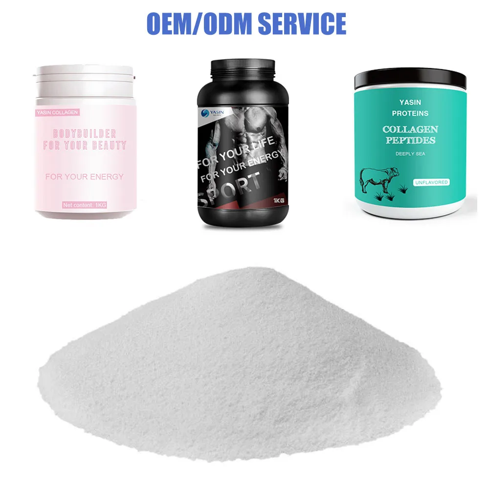 salmon fish powder collagen marine collagen high quality collagen peptide powder halal