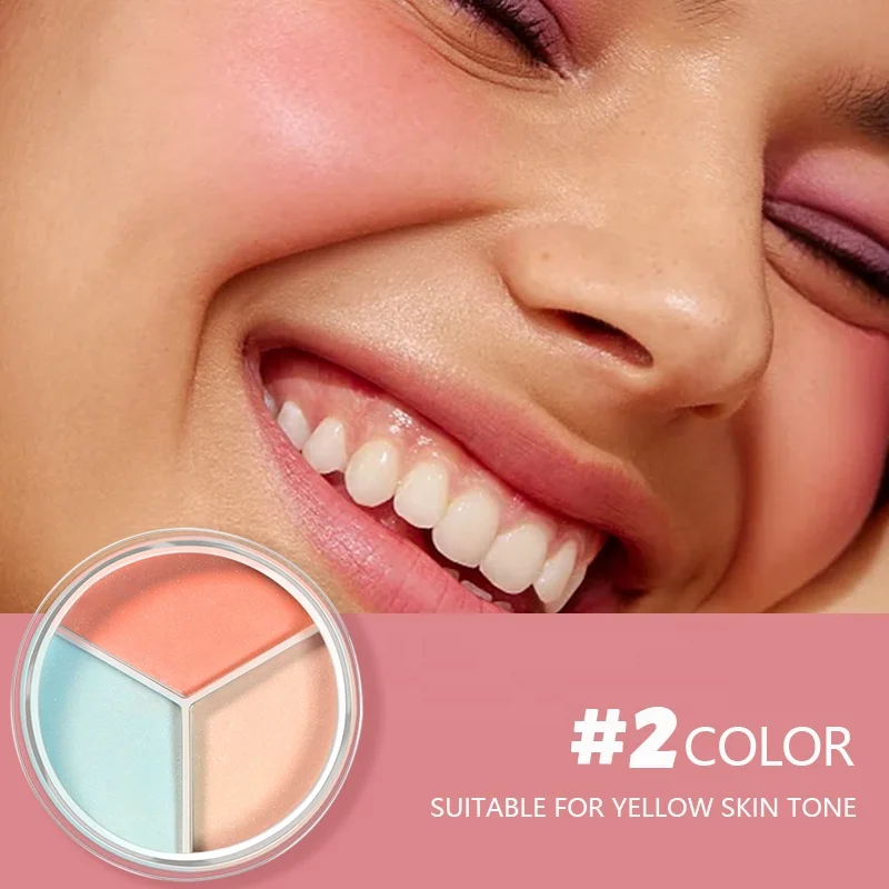 Private Label High Quality Oil Control Three-Color Loose Powder Long Wearing Matte Powder OEM Face Makeup Concealer Powder