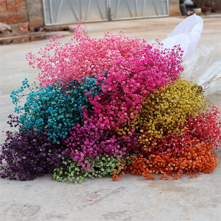 QD2002  Valentines Day Gift Natural Dried Flowers Preserved Gypsophila Flower