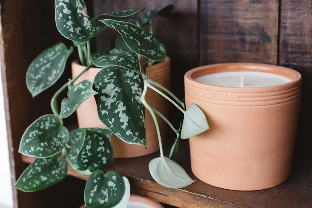 Neutral Blush Terracotta Vessel Candle Holder Pot