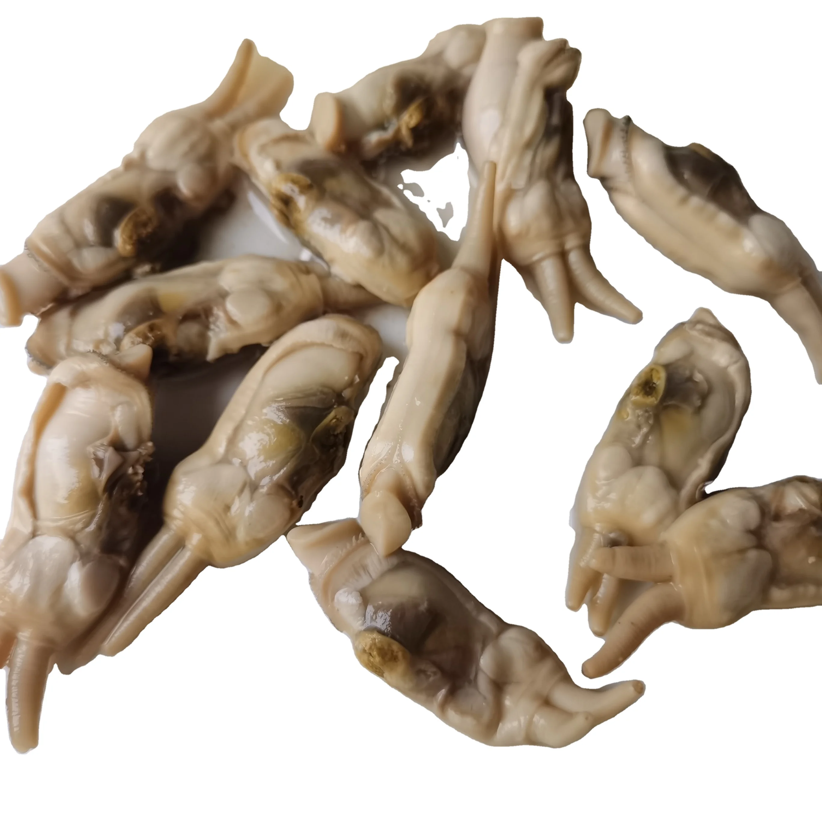 2022 newest corp Premium Seafood Salted Shredded Tapes Dorsatus- Canned Razor Clam