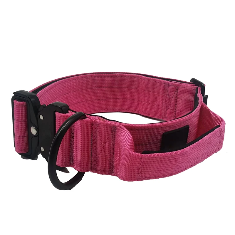 2023 Hot Selling 2 Inches Custom Colors Cobra Buckle Dog Training Neoprene Padded Nylon Dog Collars