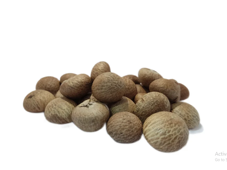 Betel Nut From Indonesia Brown Color Dried Best Selling 100 % Natural High Quality Premium Grade Of Betel Nut Supply