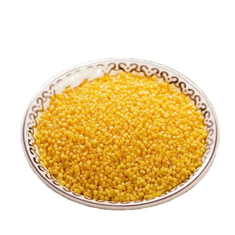 High Nutrition Value Organic Millet Grain Good For Your Health