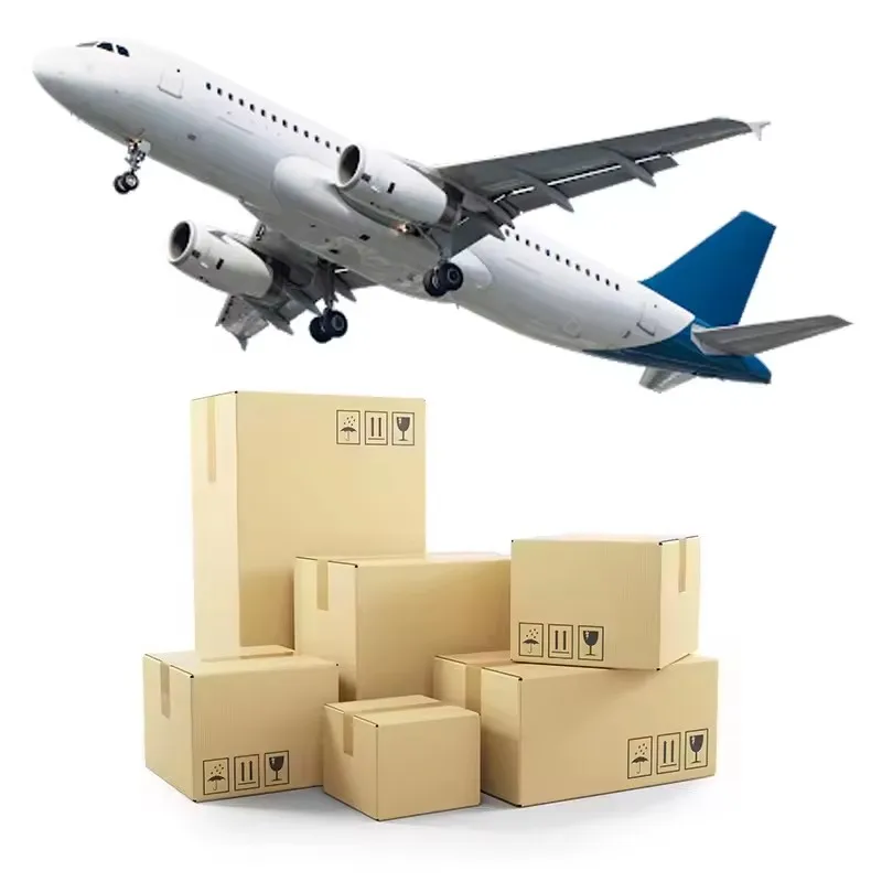 Hot Sale Professional Sea Freight Forwarder Sea Cargo Shipping To Saudi Arabia Uae Logistic Service