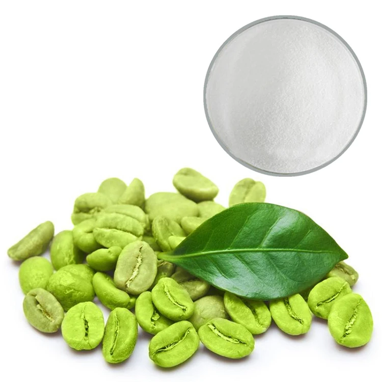 
Natural Raw Material Green Coffee Beans Extract Powder Benefit to Kidney 