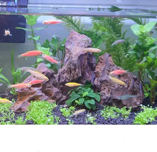 Natural landscaping pine bark stone fish tank natural dragon stone aquarium decoration