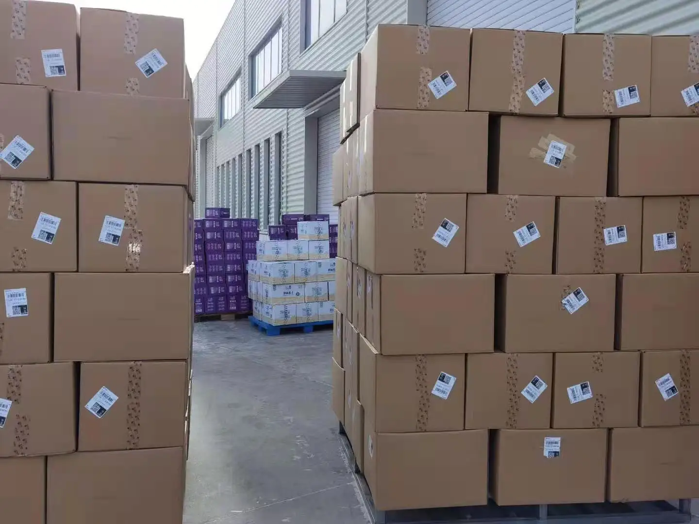 Factory Supplier 2021 Black sunflower seeds High Quality New Crop Sunflower Seeds Raw