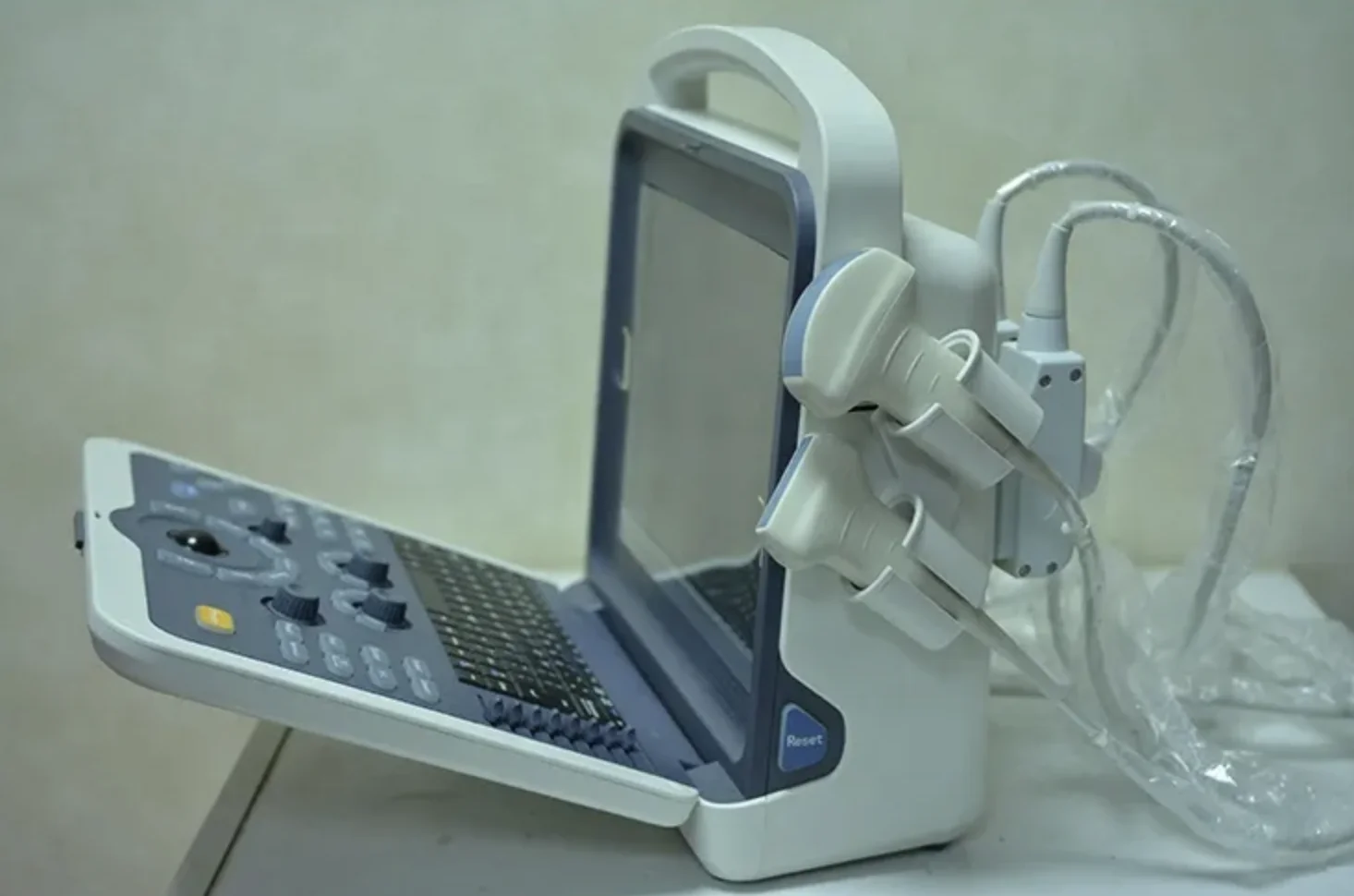 Color Doppler Ultrasound Echcardiogram 80 Elements Portable 12 Inch LED Display 2 Probe Interface Doppler Ultrasound Scanner