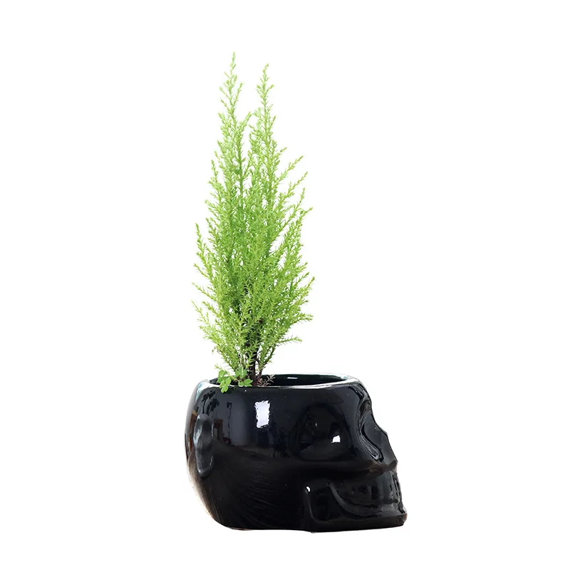 European style cartoon character head white flower pot ceramic