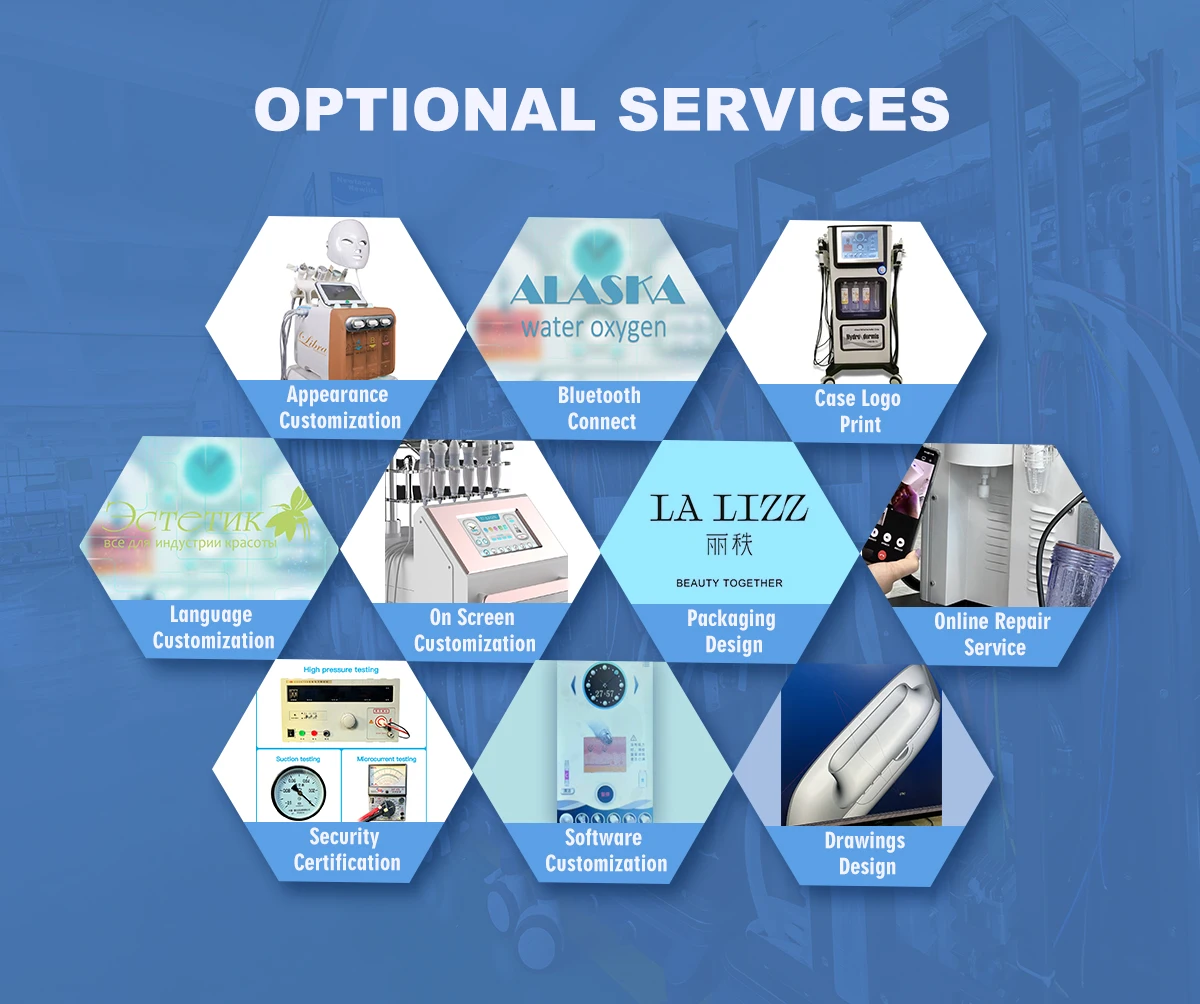 Hot 17-IN-1 Hydra Dermabrasion Machine Hydro Oxygen Equip OEM Diamond Microdermabrasion Aqua Peel Machine Hydra Manufacturer B