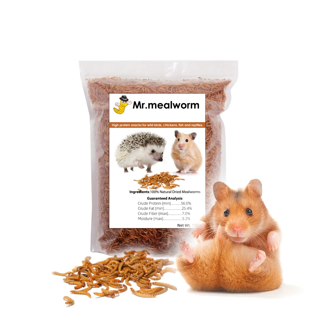 Top quality fish food animal food mealworms natural dried mealworms cheap price hot sale factory dry mealworms