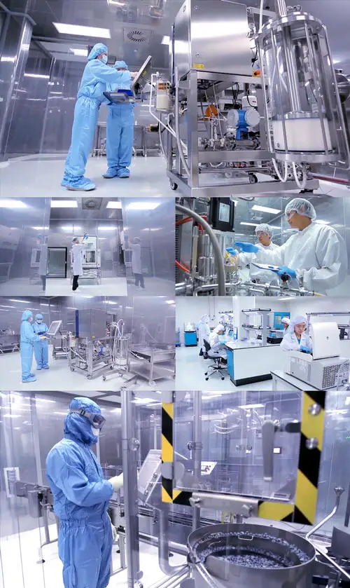 
High Quality Lu Ba Zi Seed 