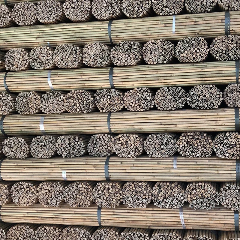 Custom Size Raw Material Bamboo Stake Bamboo Cane bamboo Pole For Agriculture