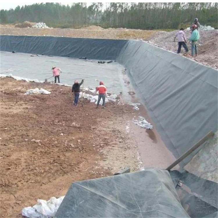 Withstand A Variety Of Weather And Water Conditions Fish Pond Liners  HDPE geomembrane