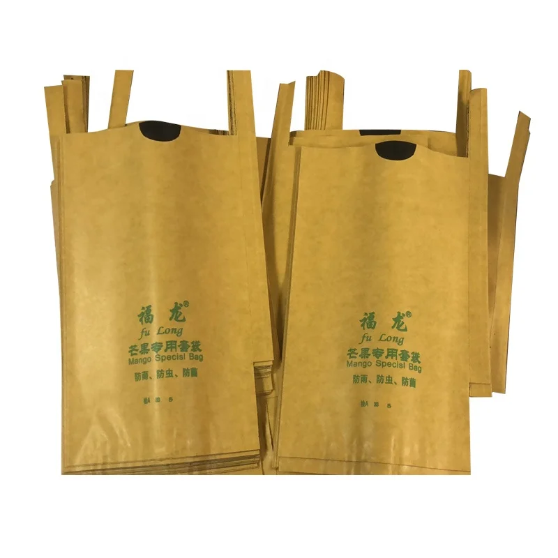 Manufacturer supply wholesale Bangladesh fruit paper bag mango growing bag fruit protection growing bag