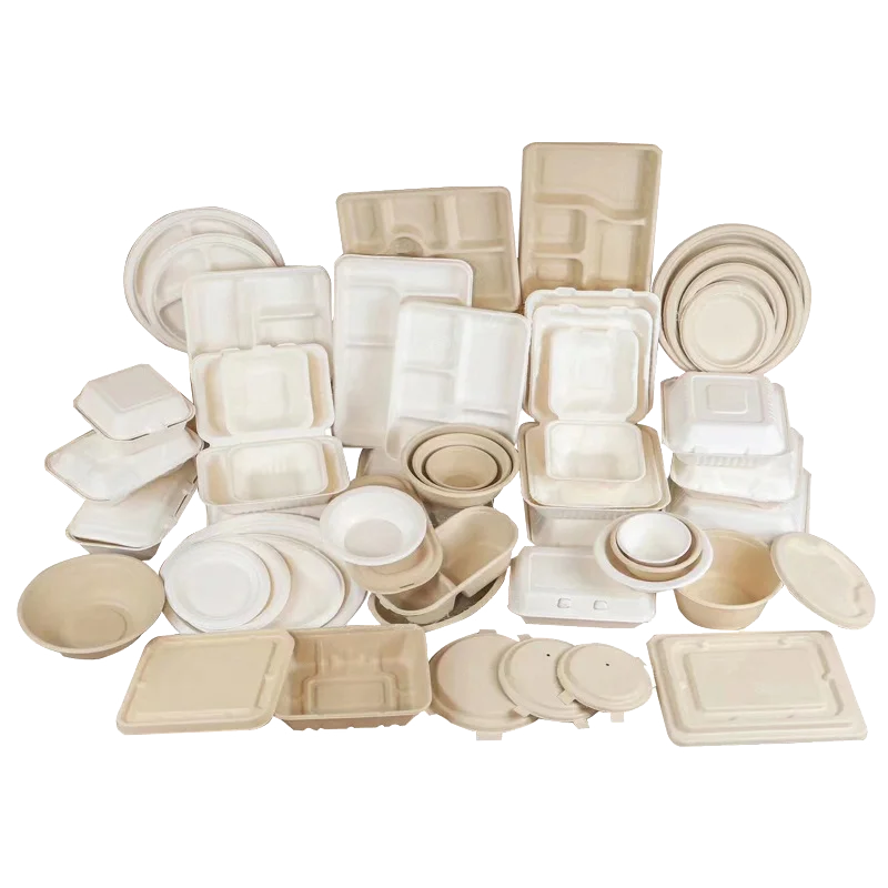 9x9 3-Compartment Clamshell Take out Food Container 100% Compostable Disposable To-Go Containers with Hinged Lid Togo Plates