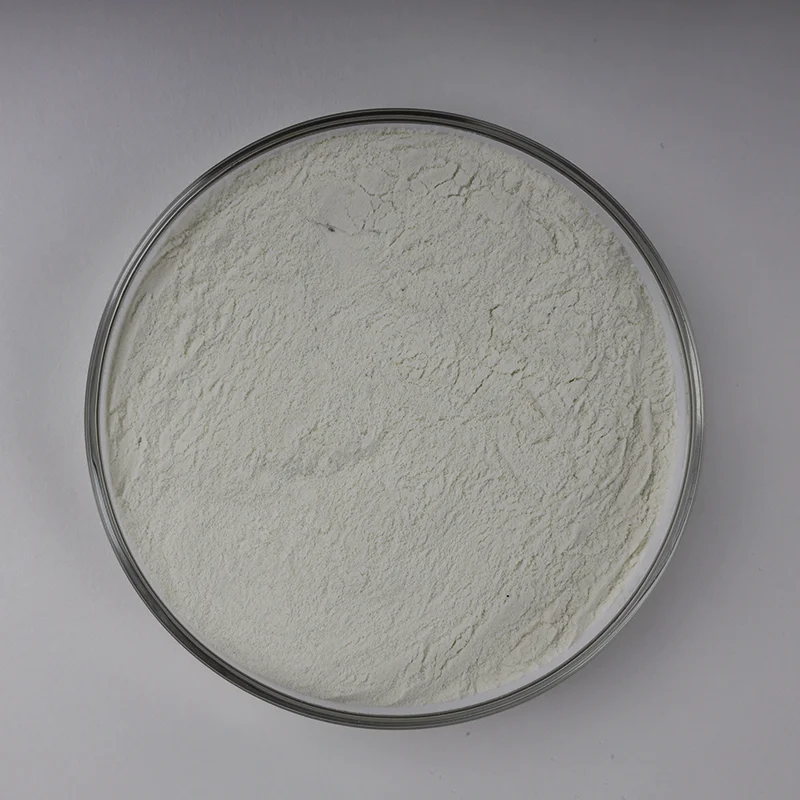 Factory Supply High Quality Lipase powder Food Grade