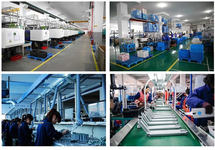 Company Information.jpg