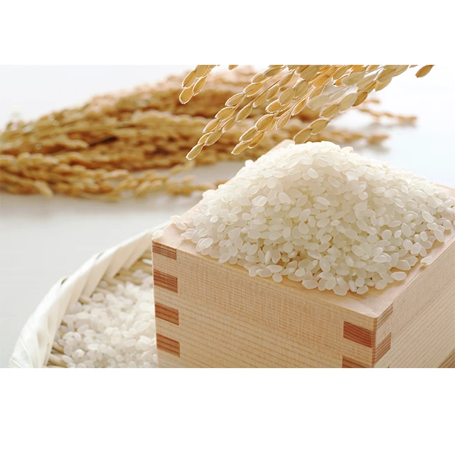 Top-quality packaged mineral-rich groundwater natural rice paddy seeds