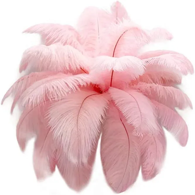 Wholesale Ostrich Feathers Hot-selling Gorgeous Natural Ostrich Feather For Diy Clothes Decorations Ostrich Feather