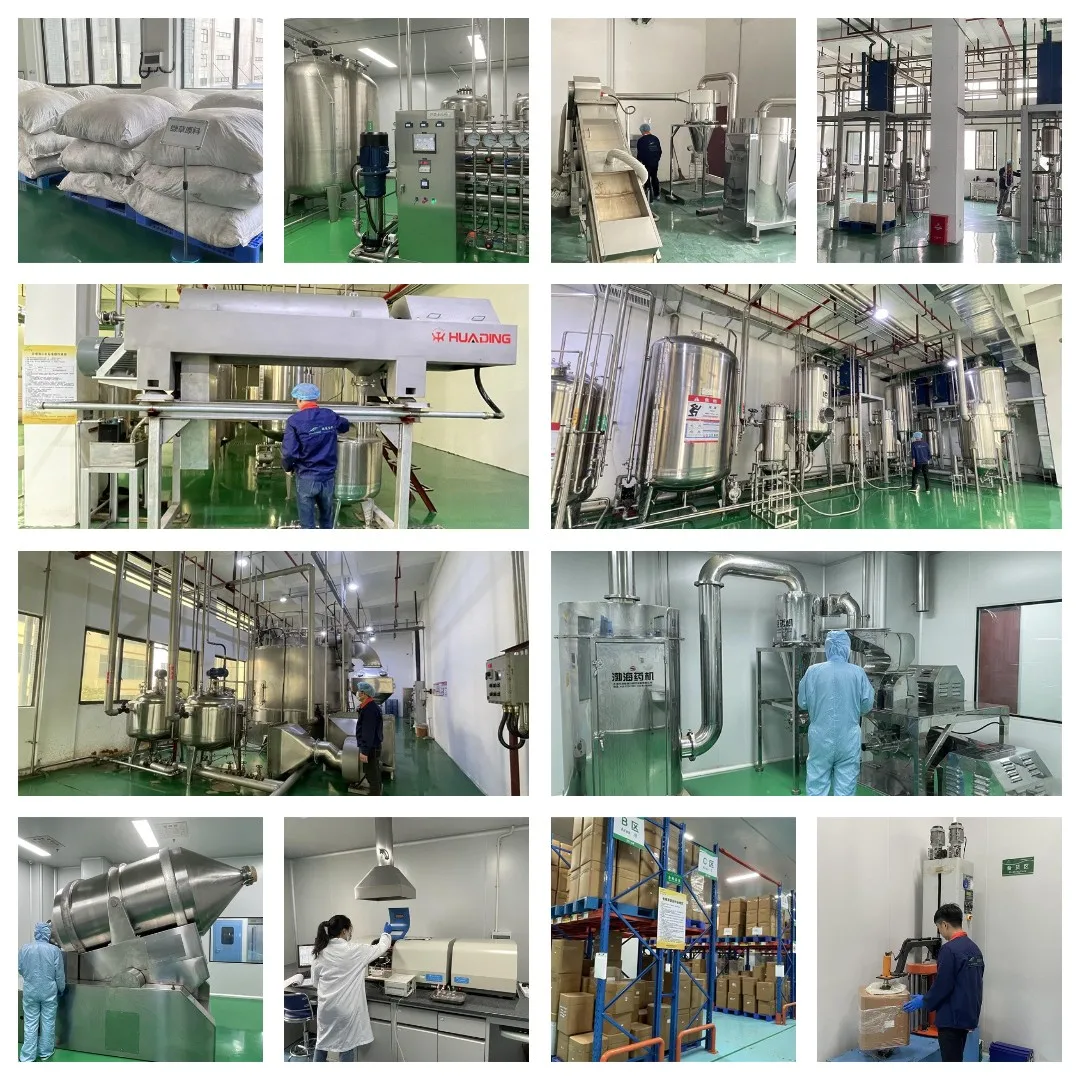 China Manufacturer 5%10%20% Tomato Lycopene Powder Extract & Beadlet