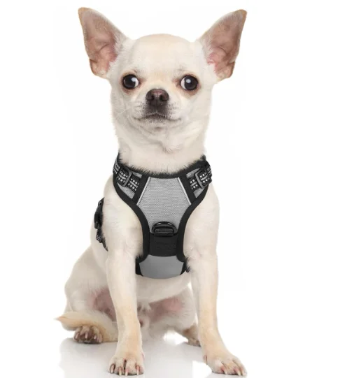 Dog Harness, No-Pull Pet Harness with 2 Leash Clips, Adjustable Soft Padded R Pet Oxford Vest with Easy Control Handle for Dogs