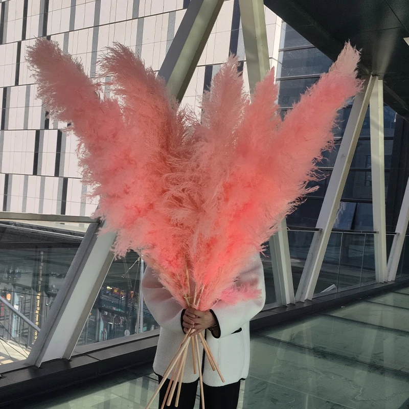 Wholesale High Fluffy Pampas Grass wall christmas tree white/pink Pampas Reed Grass dried flower Wedding Decorations Boho Decor