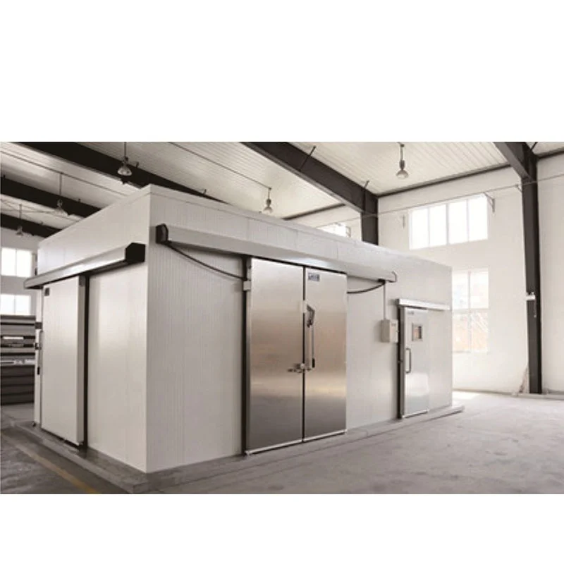 Walk in freezer cold storage refrigeration cold store machine cold room for fish storage