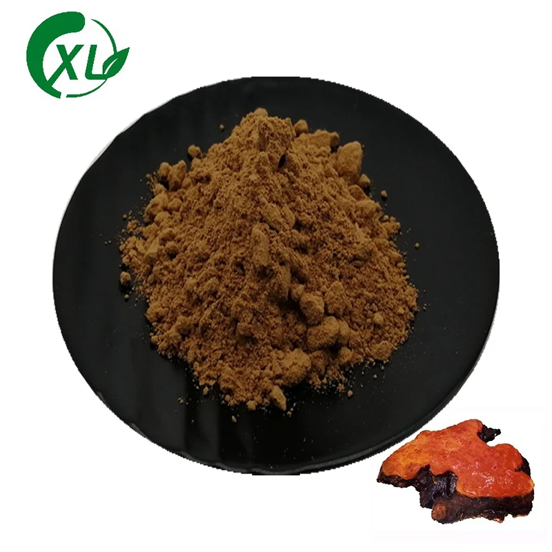 Antrodia Polysaccharide Powder Hot Sale Organic Antrodia Camphorata Extract