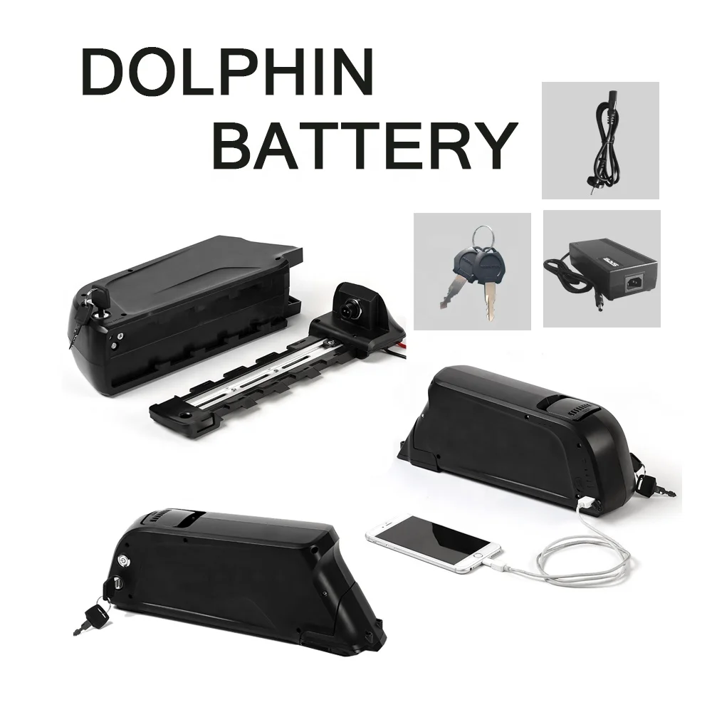 36v 11.6ah downtube battery electric bike battery and charger