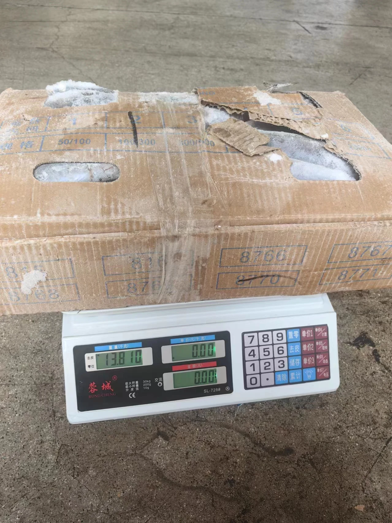 Premium Quality Seafood Frozen Bonito Fish for Africa Client