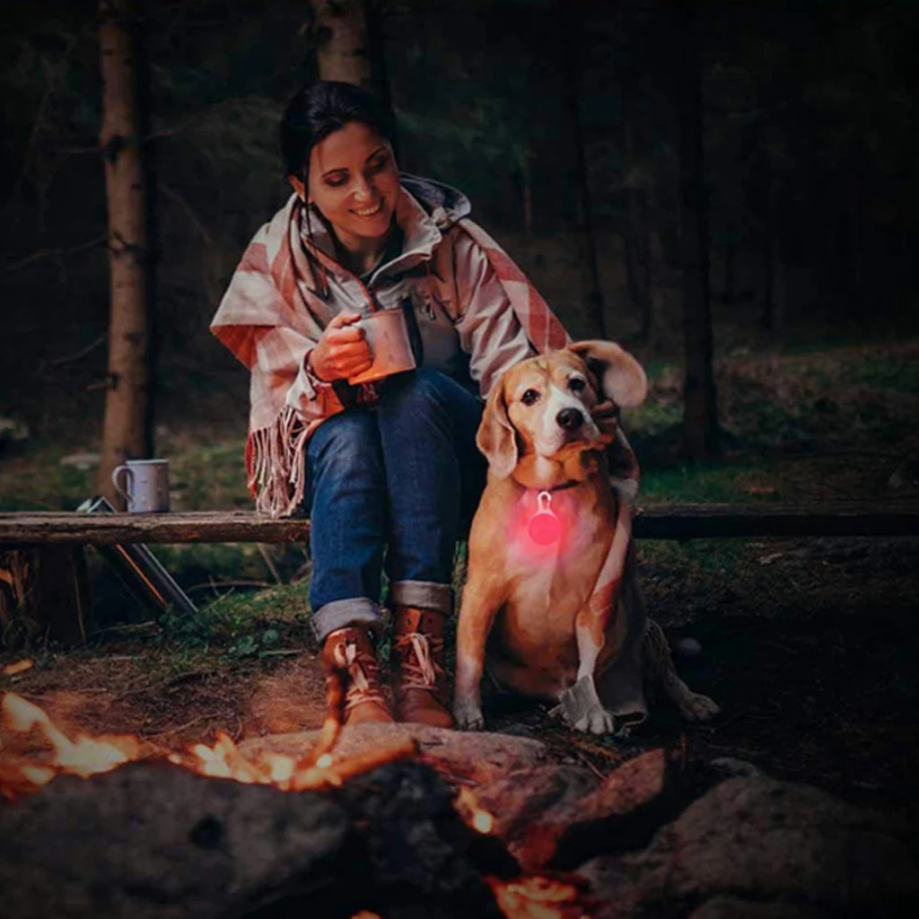 Outdoor Walking Safety Glowing Neck Collar Night Reflective Bling Clip Dog Led Collar Outdoor Tag Pet