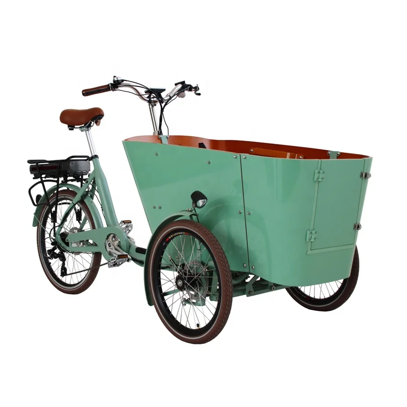 Popular New Design Carrying Cargo Cargo Electric Bike Bosch Motor