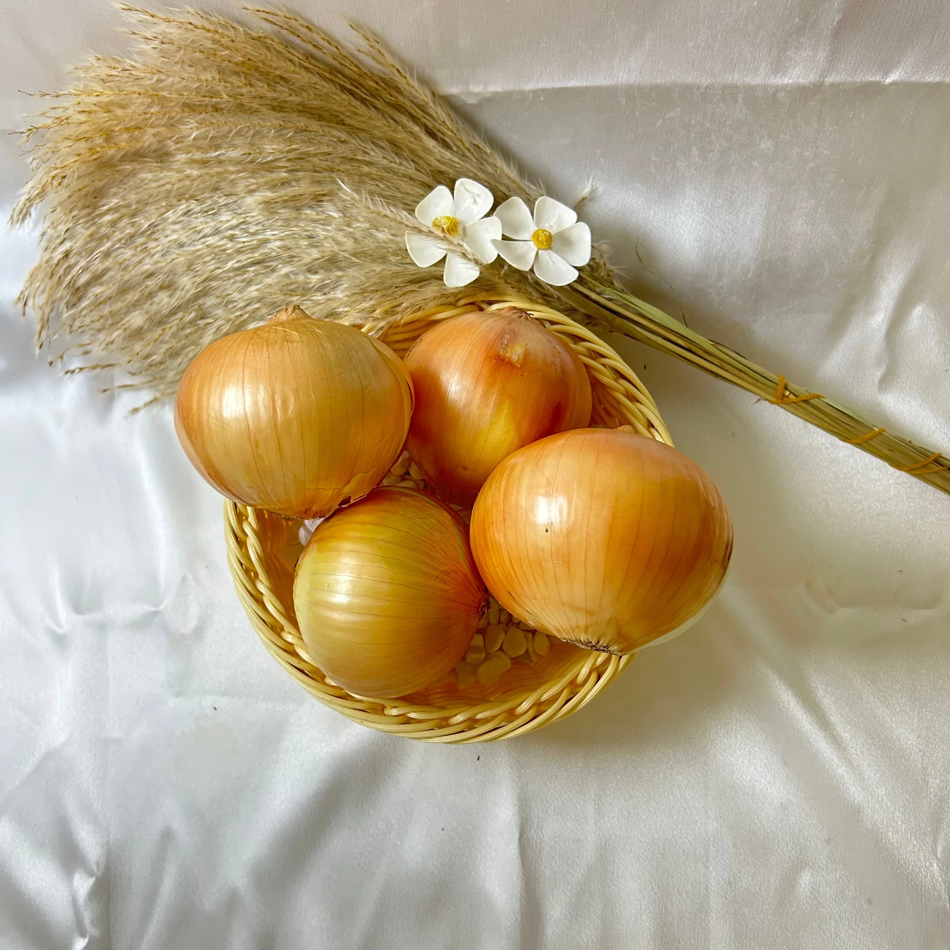 High Quality Yellow Onion New Crop China Fresh Yellow Onion Low Price Natural Healthy Yellow Onion Wholesale