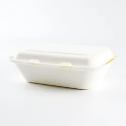 Food Grade Biodegradable Disposable Tableware Products Sugarcane Bagasse Plates