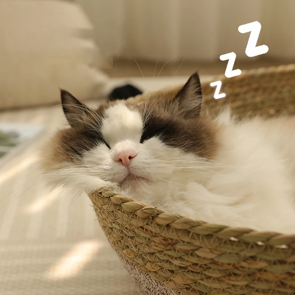 Rattan Pet House Woven Pet Sleeping Basket Beds With Plump Pillow Wicker Cat & Dog Bed