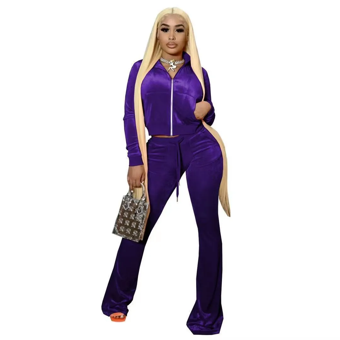 Winter Fall Velvet Track Suit Women Sets 2 Two Piece Set Women Clothing Two Piece Fashion Lounge Wear Purple Velour Tracksuit