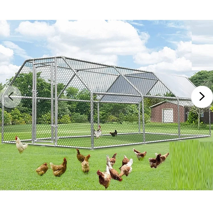 China Metal Walk-In Poultry Run Cage House Large Capacity High Quality Chicken Coop For 10-15 Chicken