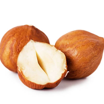 2021 Hot Sale hazelnut nuts spread hazelnut hazelnuts with best price