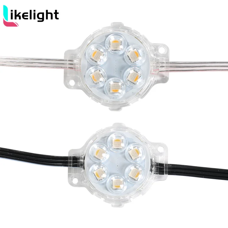 Outdoor Waterproof RGB RGBW IP67 Permanent Led Christmas Lights for House DC 24V Point Landscape Decor