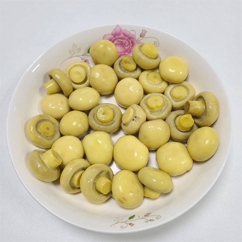 High Quality Canned Whole Mushroom Champignon in Conserva