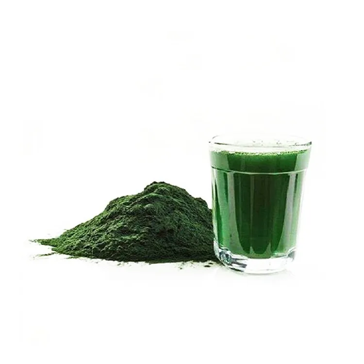 Price Alga Protein Powder Spirulina Extract Liquid With Best Prices