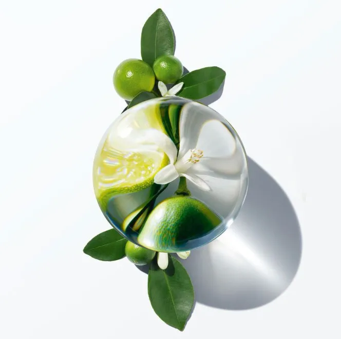 Oem Private Label Organic Nourishing Neroli Hydrosol Water Replenishing Hydrosol Floral Water