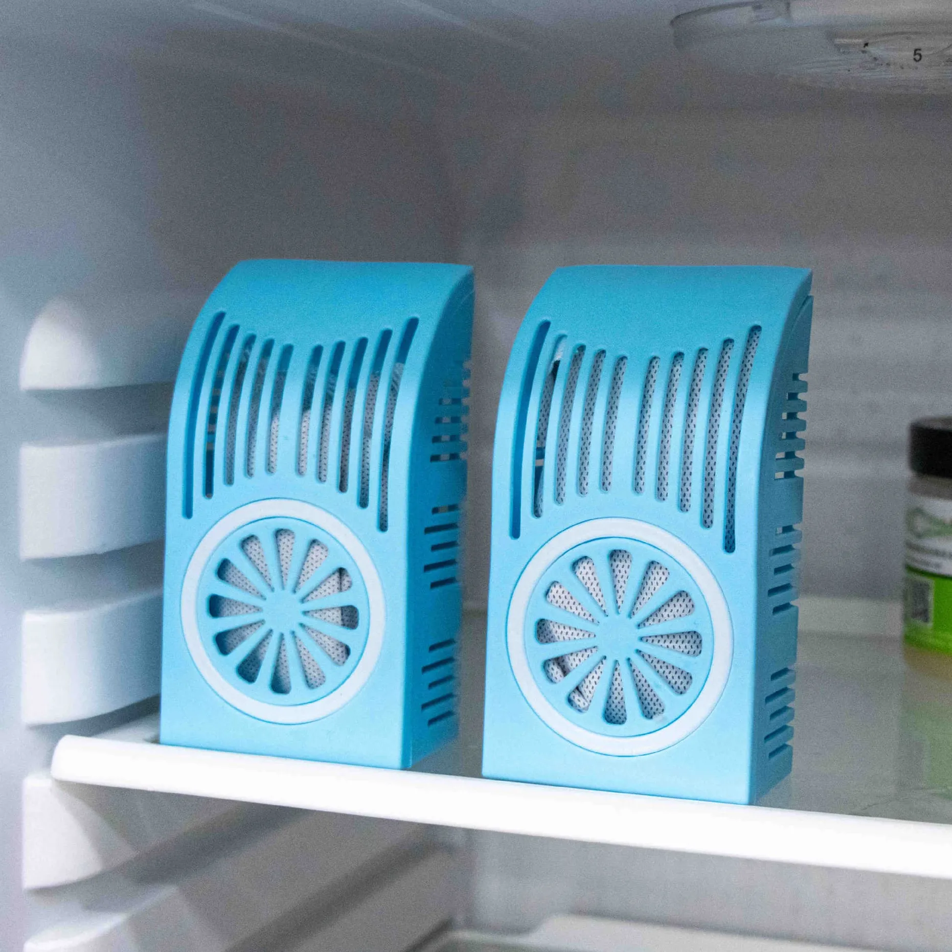 Household fridge refrigerator air freshener smell remover deodorizer odor eliminator absorber