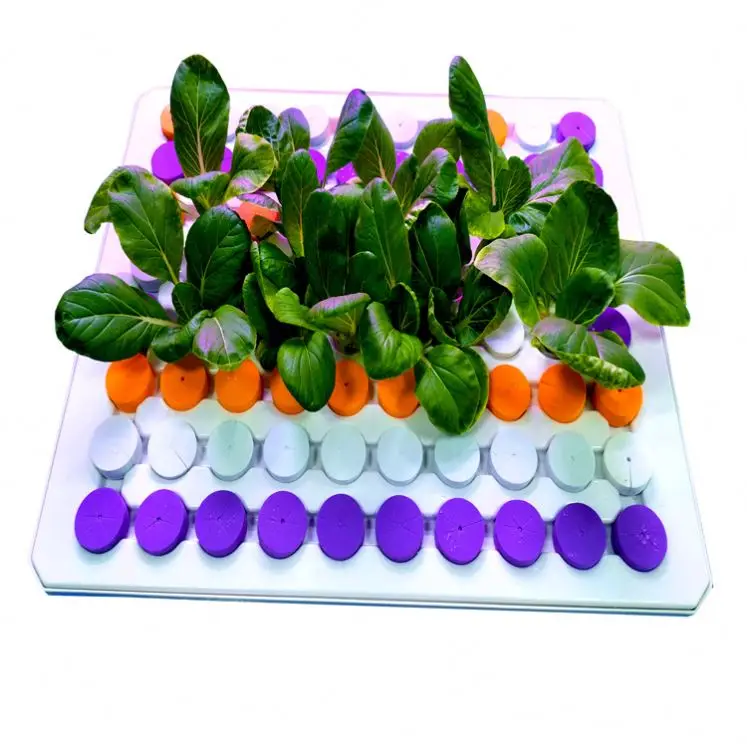 Factory Direct Ebb and Flow Microgreens Plant Cloning Machine 80 Holes Clone Tray Seed Spacer Tray for Growing